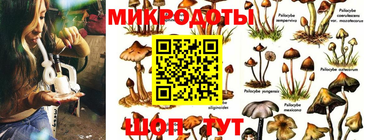Псилоцибиновые грибы ЛСД  Вход с VPN  Сухой Лог 